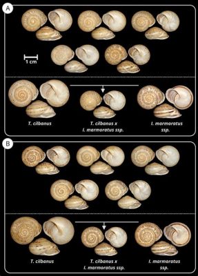  Iberus - Descubra um Caracol Terrestre de Beleza Misteriosa e Casco Intrincado!