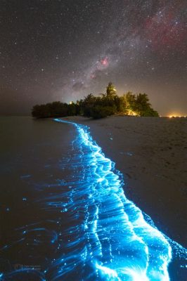  Neritacean: A Tiny Marvel Exhibiting Both Colonial Behavior and Stunning Bioluminescence!